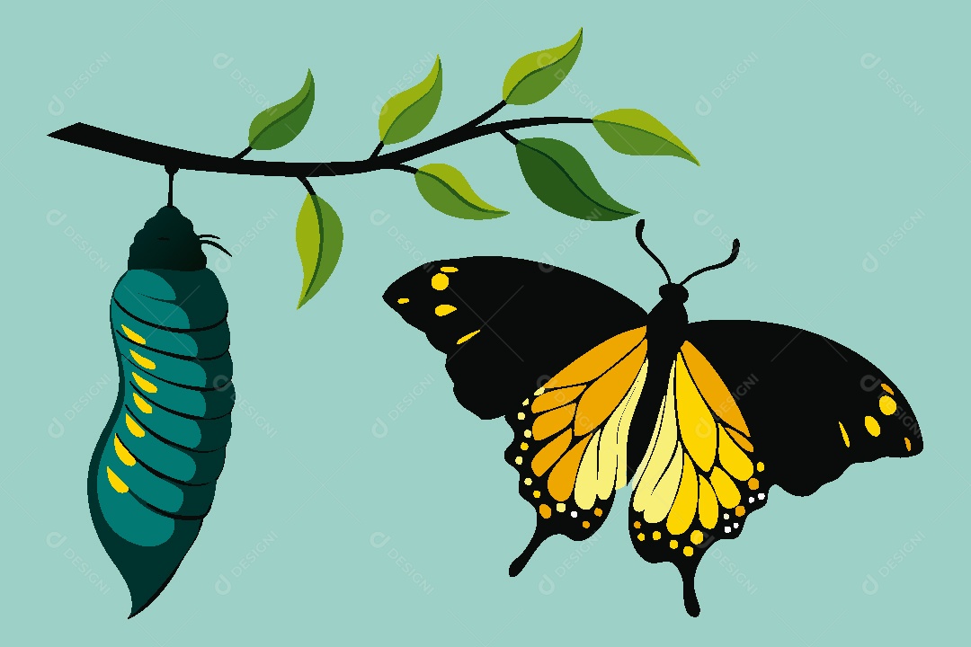 Borboleta Ilustração Vetor EPS