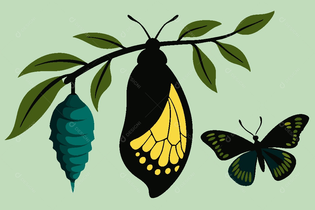 Borboleta Ilustração Vetor EPS