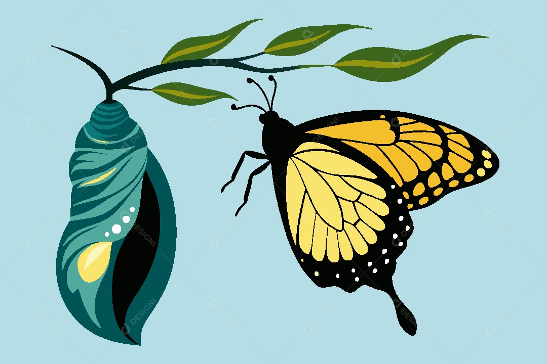 Borboleta Ilustração Vetor EPS