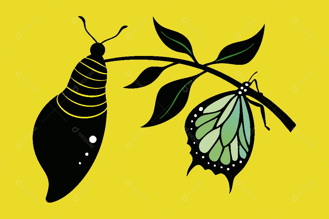 Borboleta Ilustração Vetor EPS