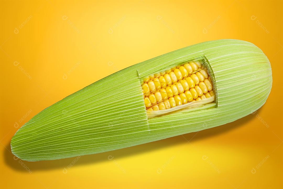Espiga de milho verde com uma corte na casca