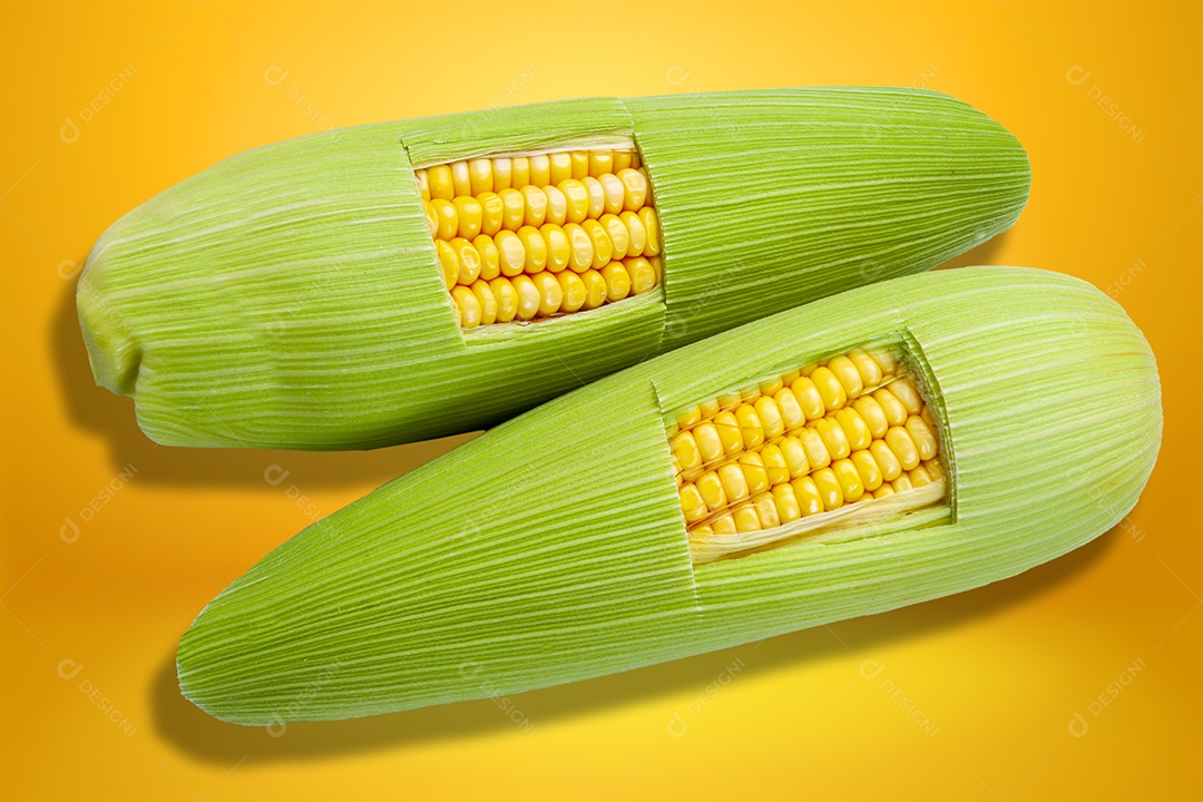 Espigas de milho verde