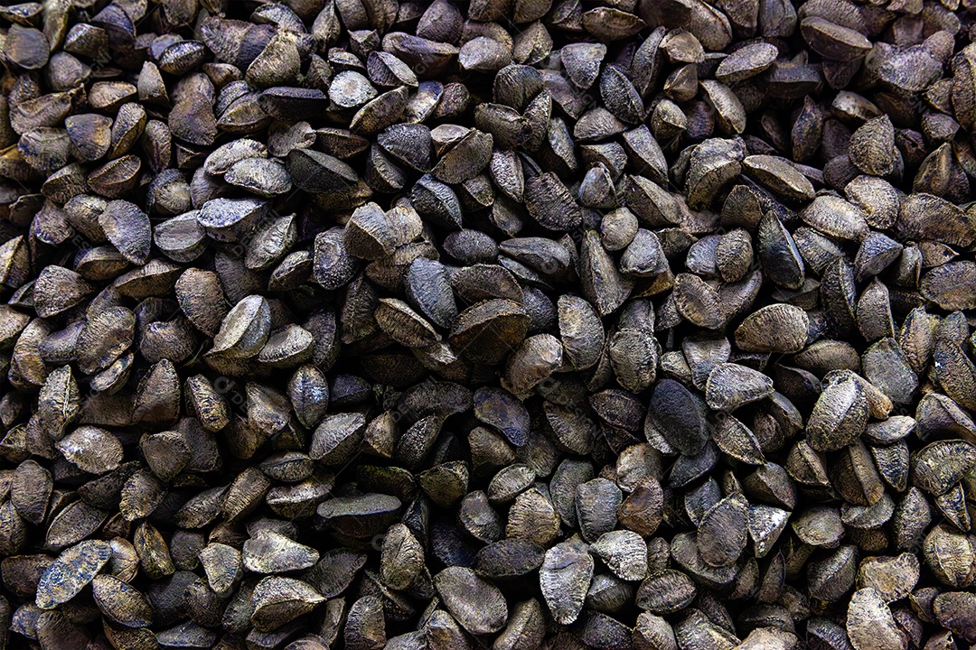 Castanha do pará com casca