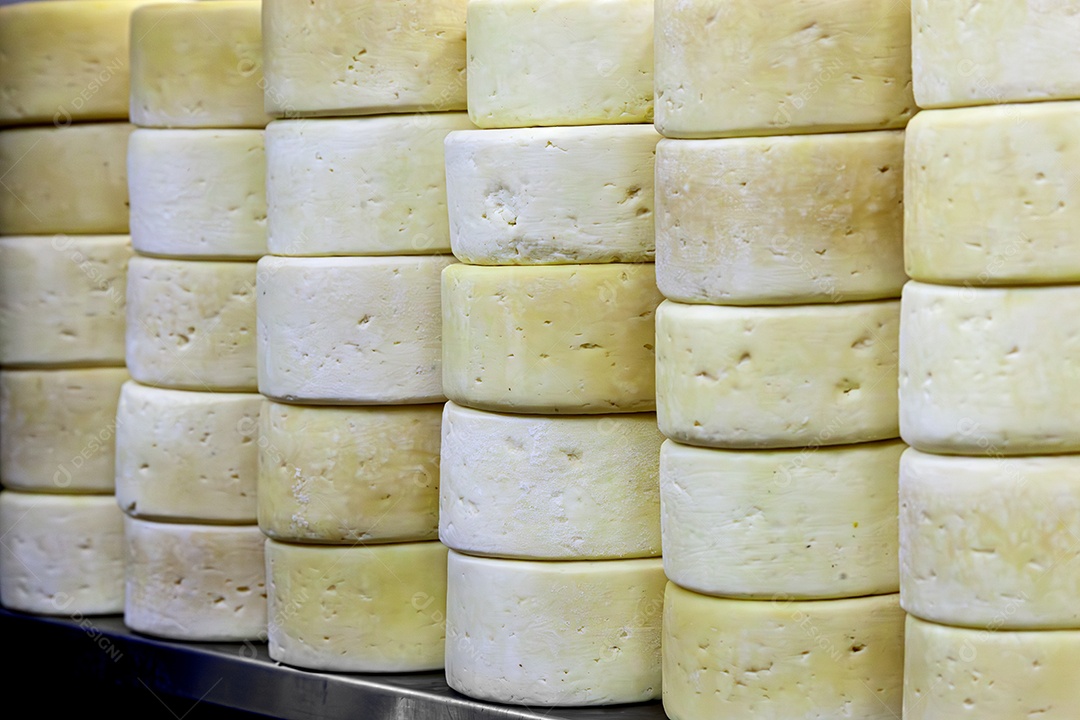 Queijos canastra curado sobre uma bancada