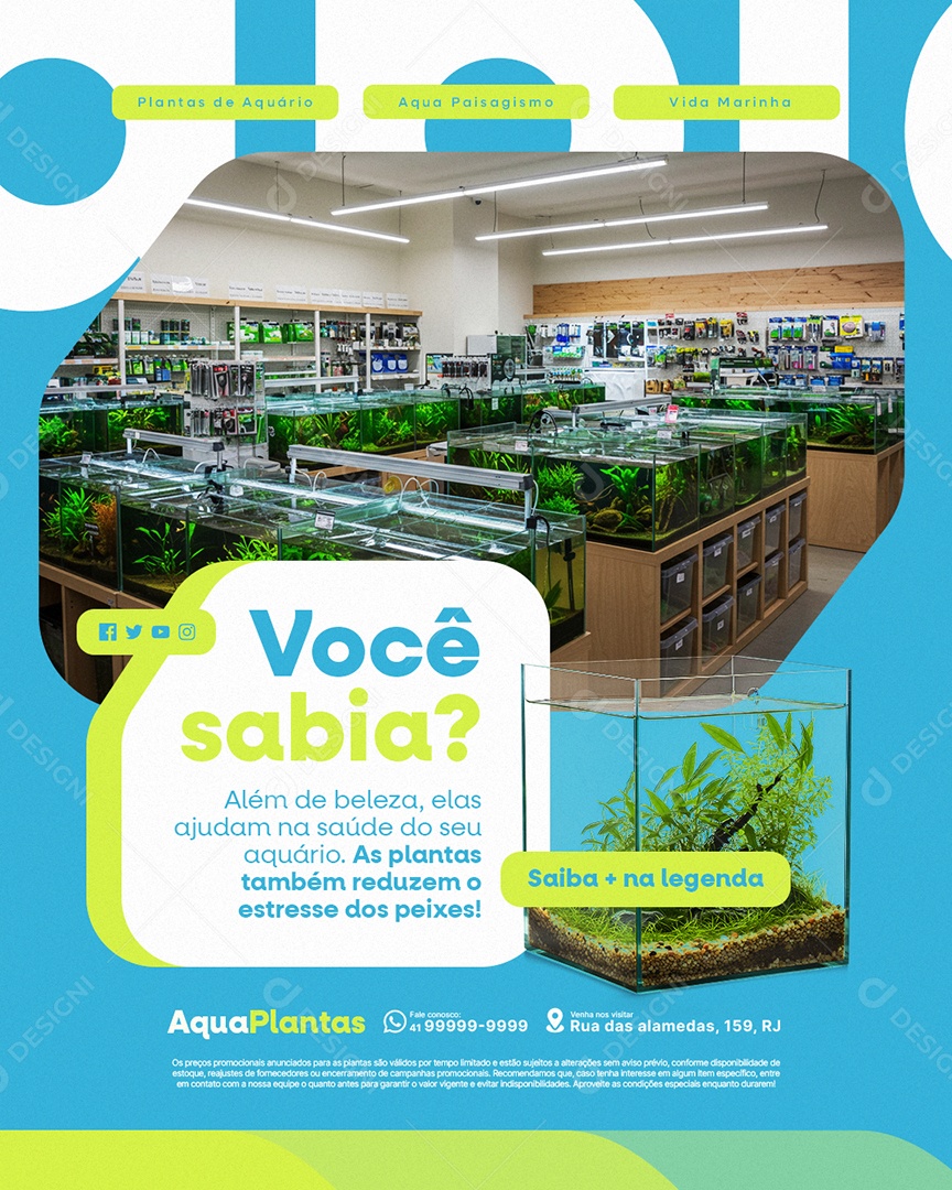 Planta Aquário Você Sabia Social Media PSD Editável