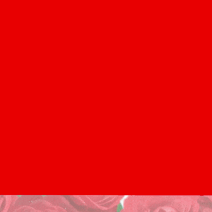 Arquivo