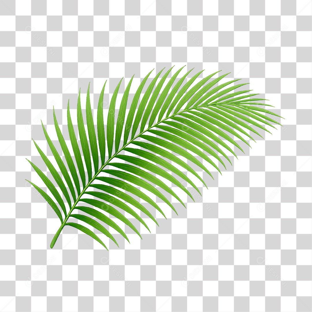 Palha Verde PNG Transparente