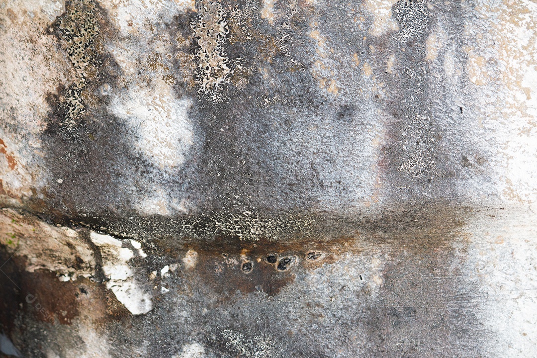 Paredes brancas descascando com mofo e manchas