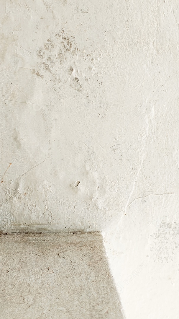 Paredes brancas descascando com mofo e manchas