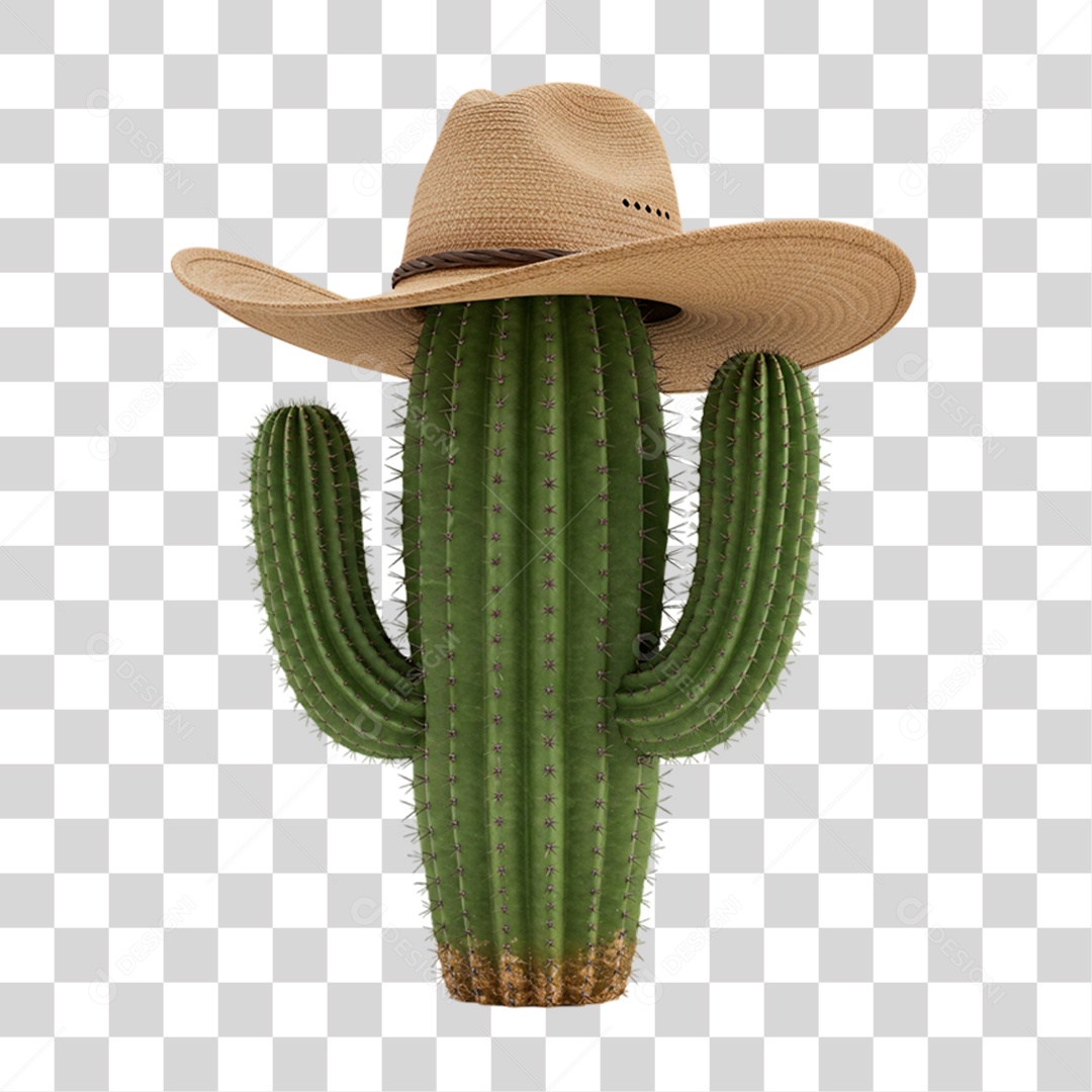 Cacto com Chapéu PNG Transparente