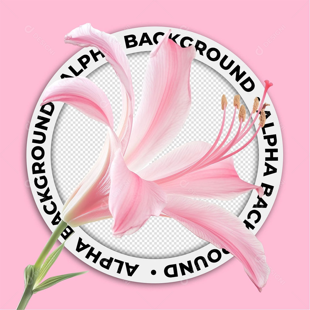 Elemento 3D Flor Para Composição PSD