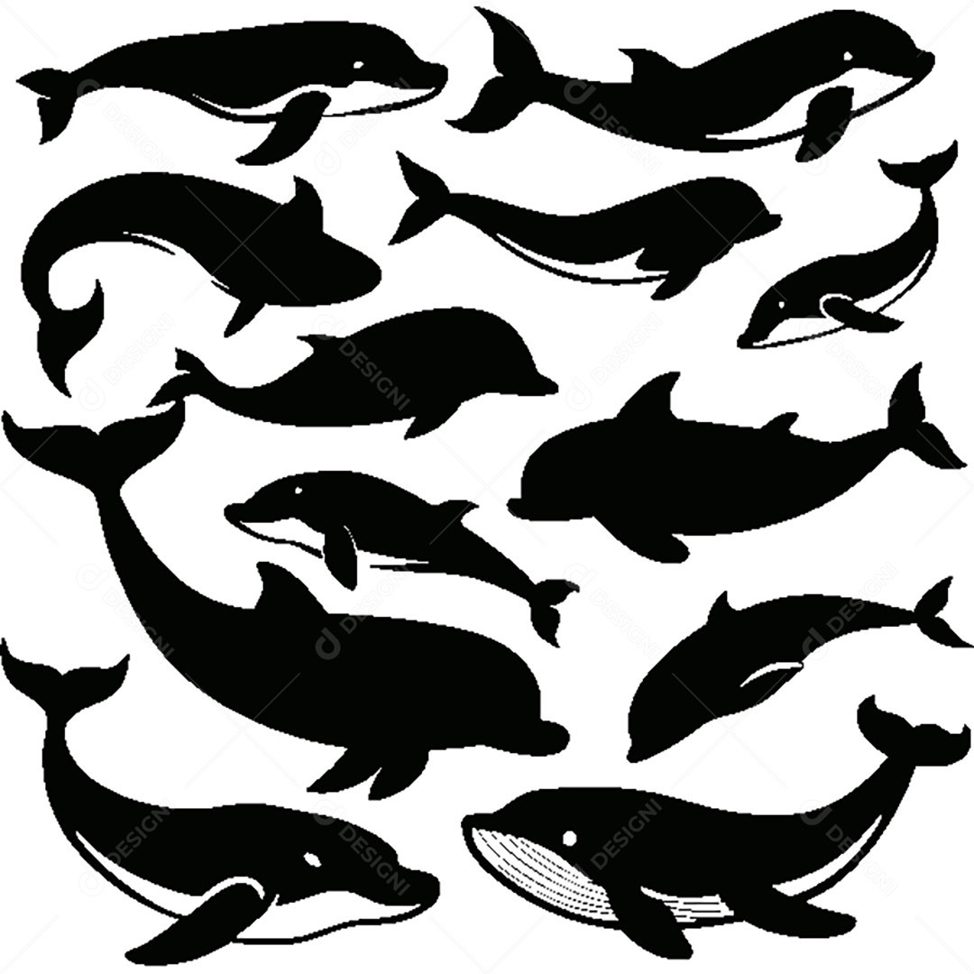 Conjunto de Silhueta Golfinho Vetor EPS