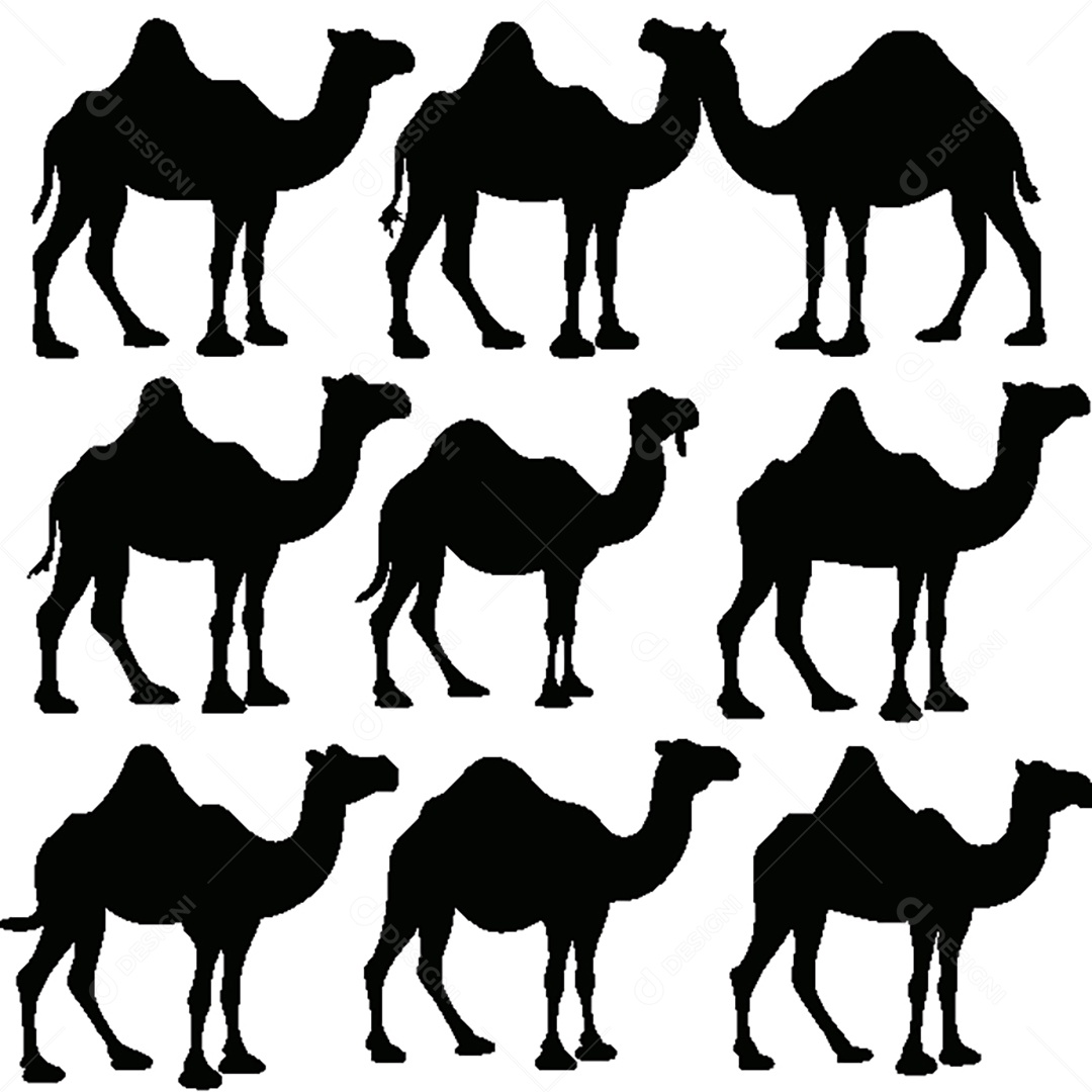 Conjunto de Silhueta de Camelo Vetor EPS