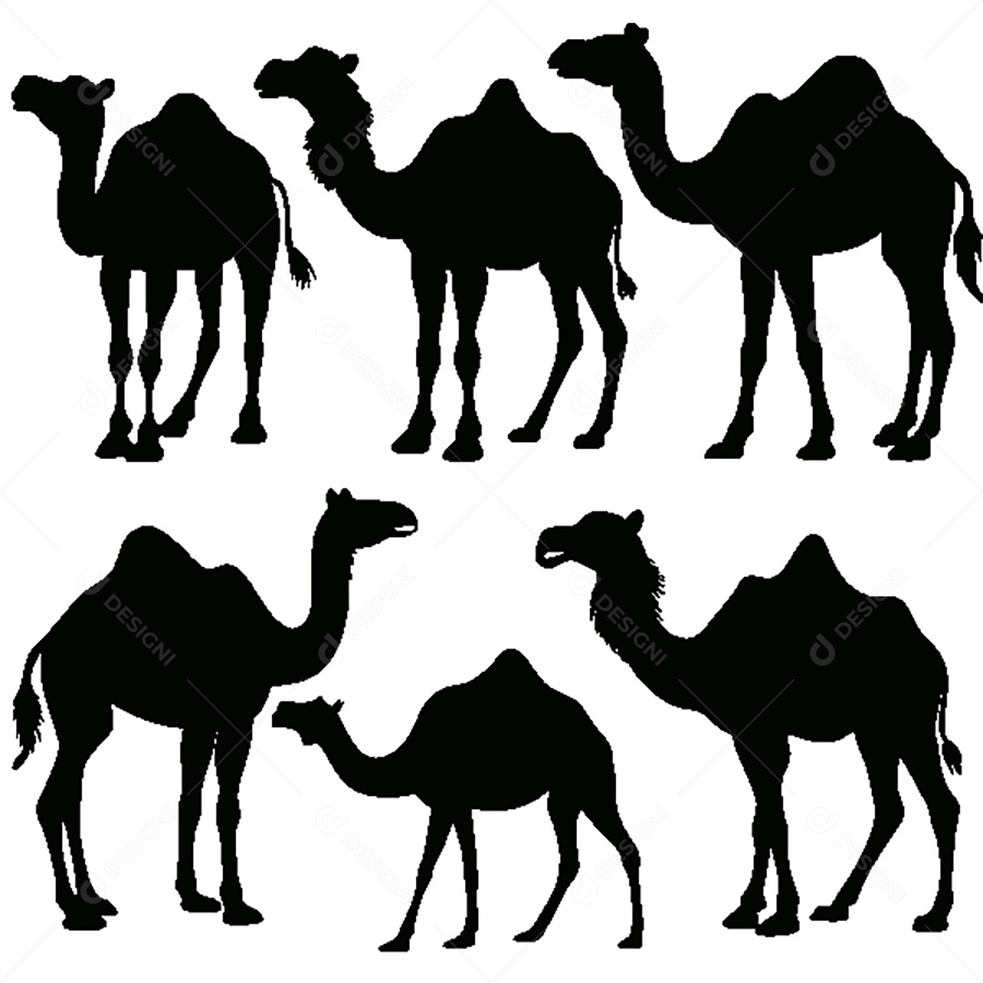 Conjunto de Silhueta de Camelo Vetor EPS