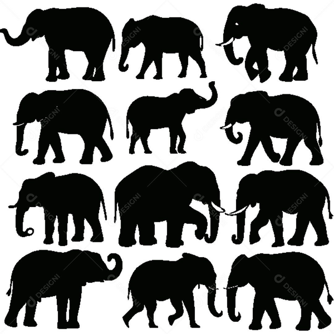 Conjunto de Silhueta de Elefante Vetor EPS
