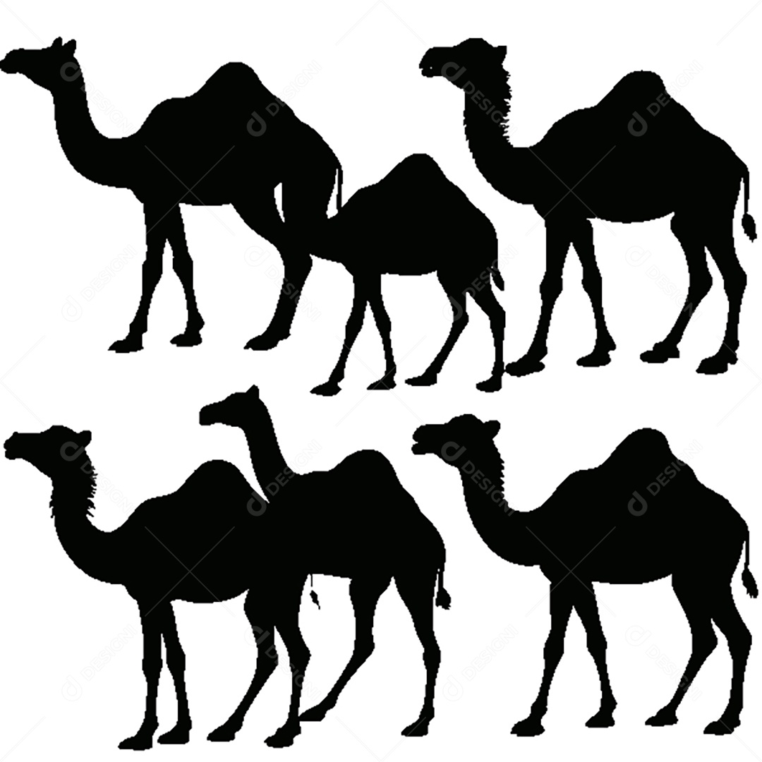 Conjunto de Silhueta de Camelo Vetor EPS
