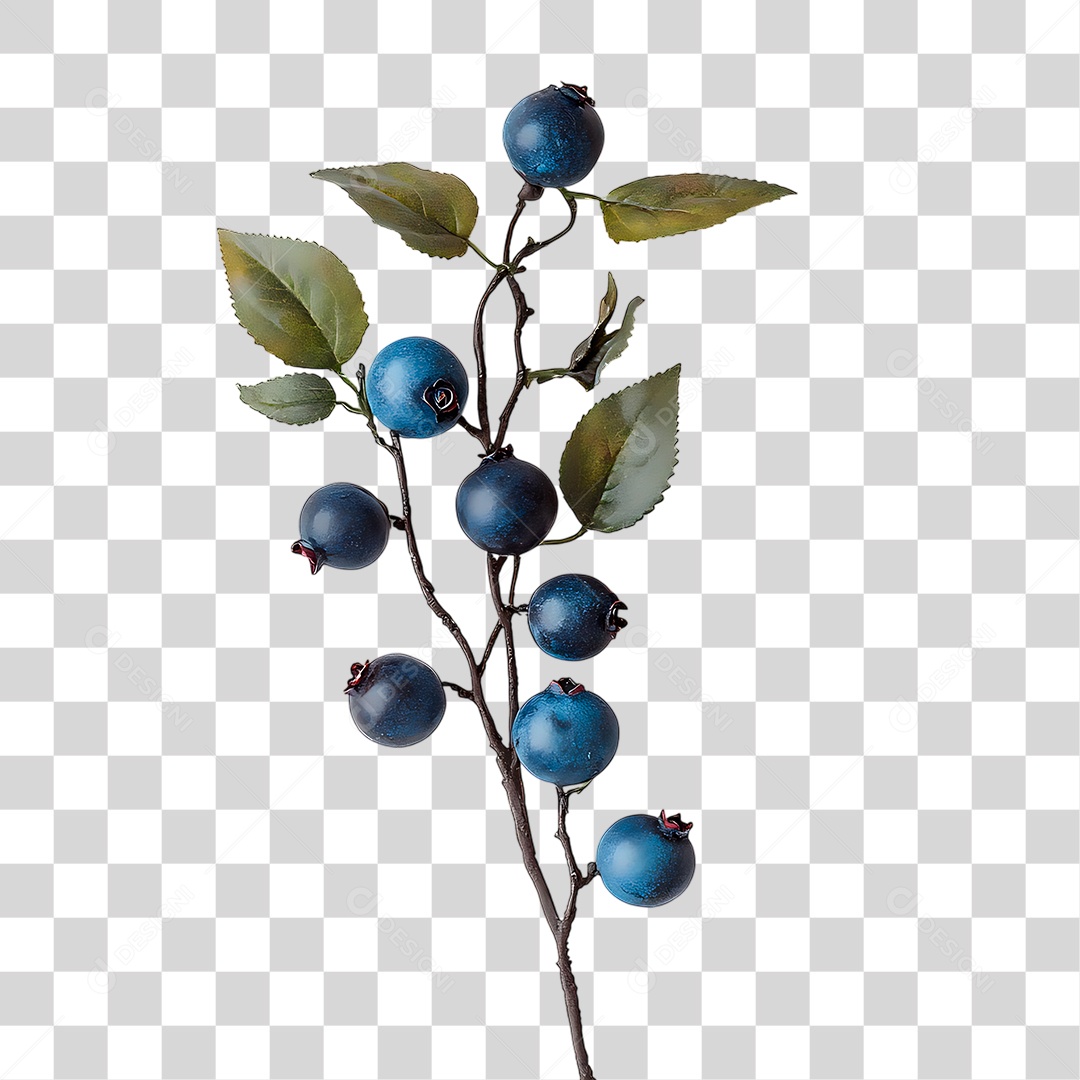 Mirtilos PNG Transparente