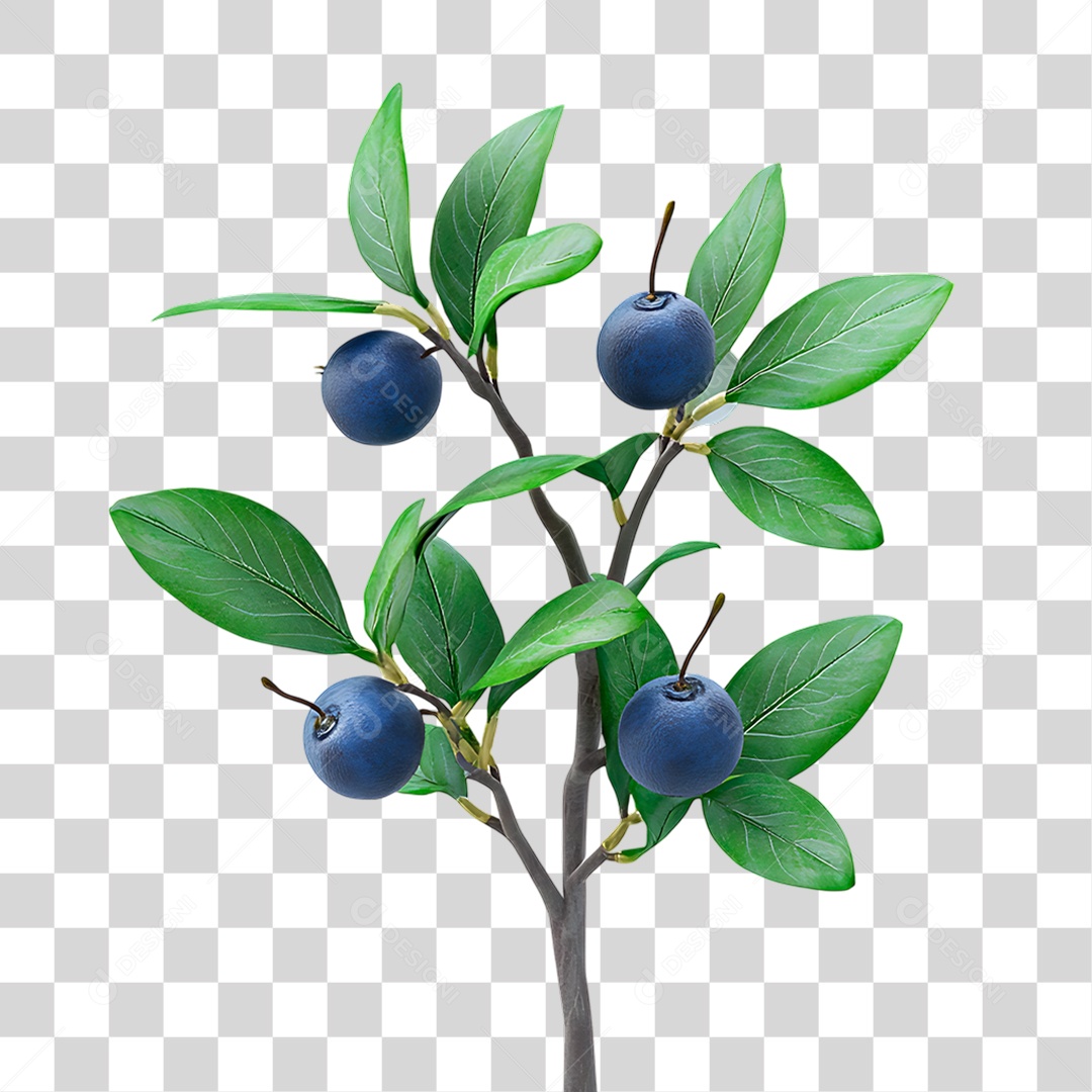 Mirtilos PNG Transparente