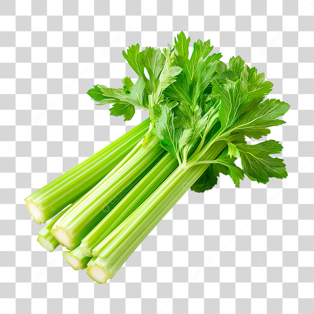 Folhas de Aipo PNG Transparente