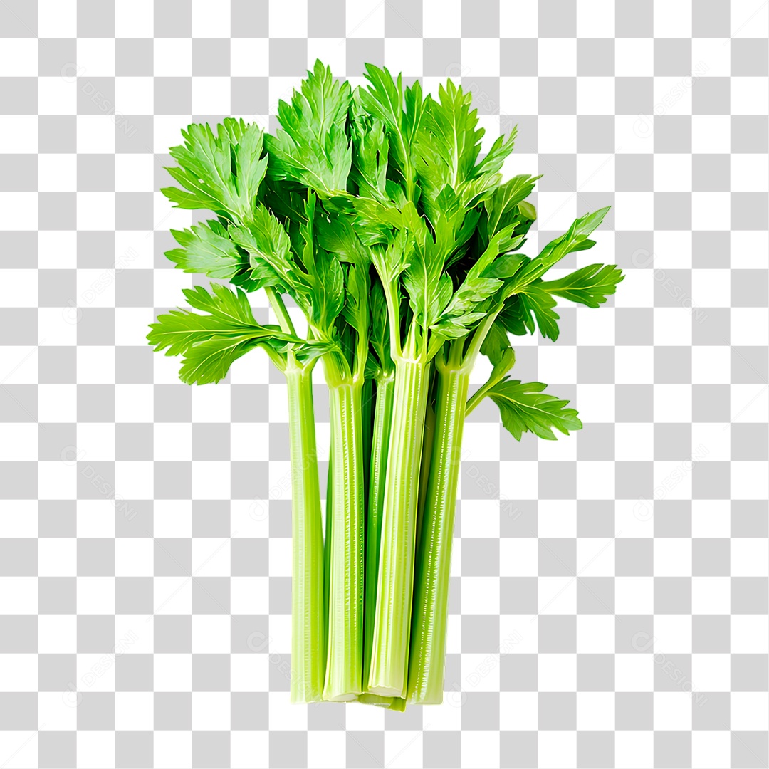 Folhas de Aipo PNG Transparente