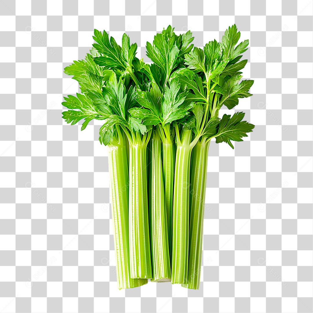 Folhas de Aipo PNG Transparente