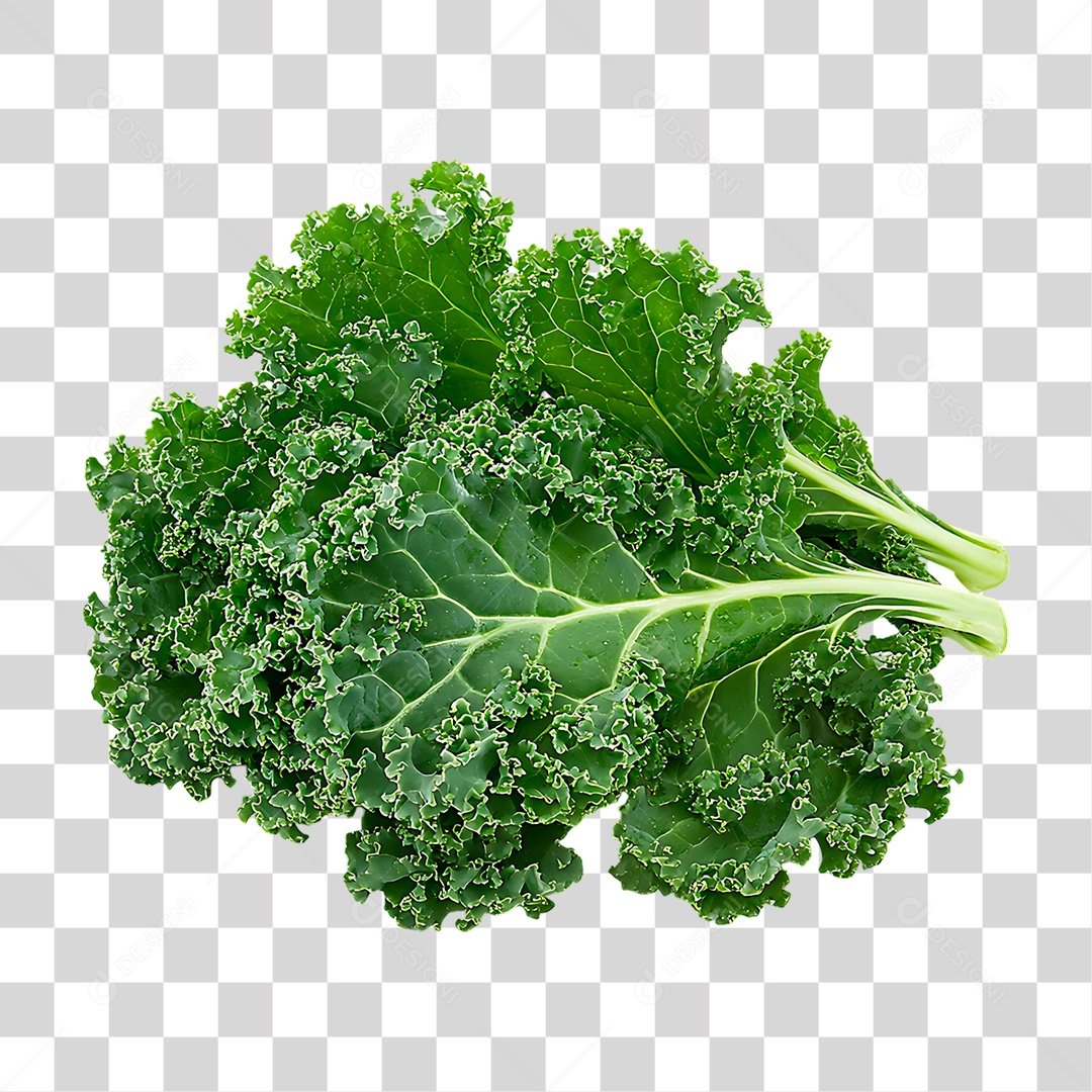 Alface PNG Transparente