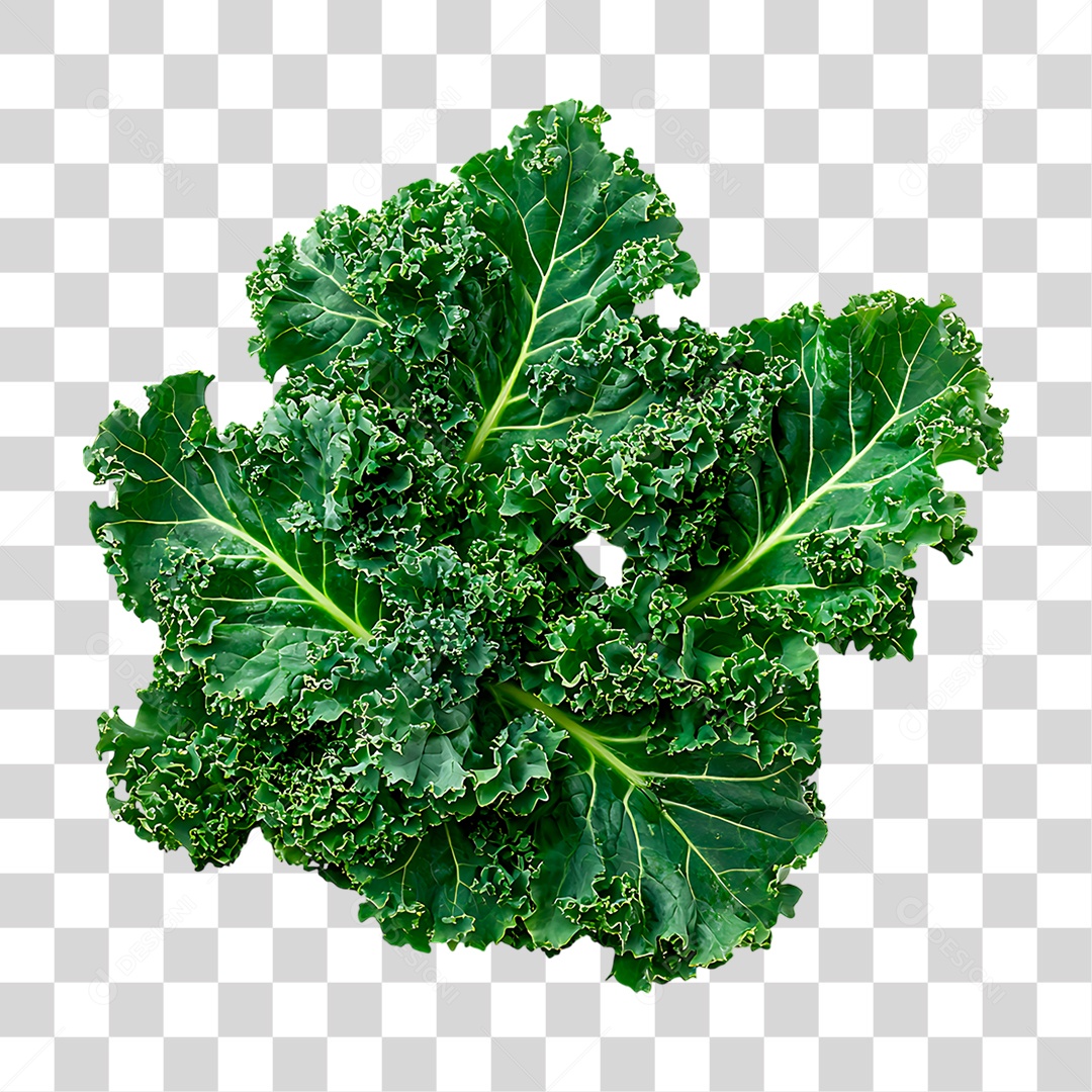 Alface PNG Transparente