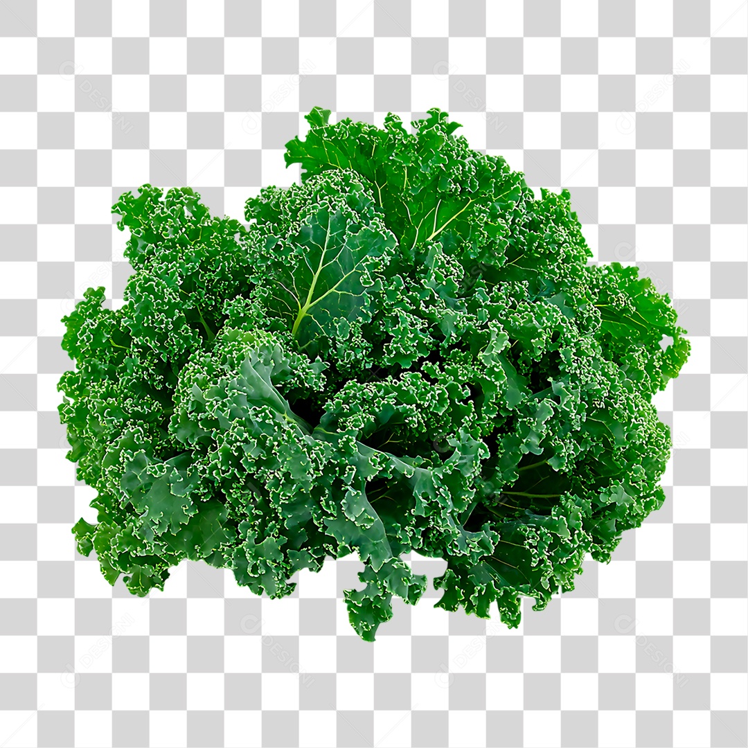 Brócolis PNG Transparente