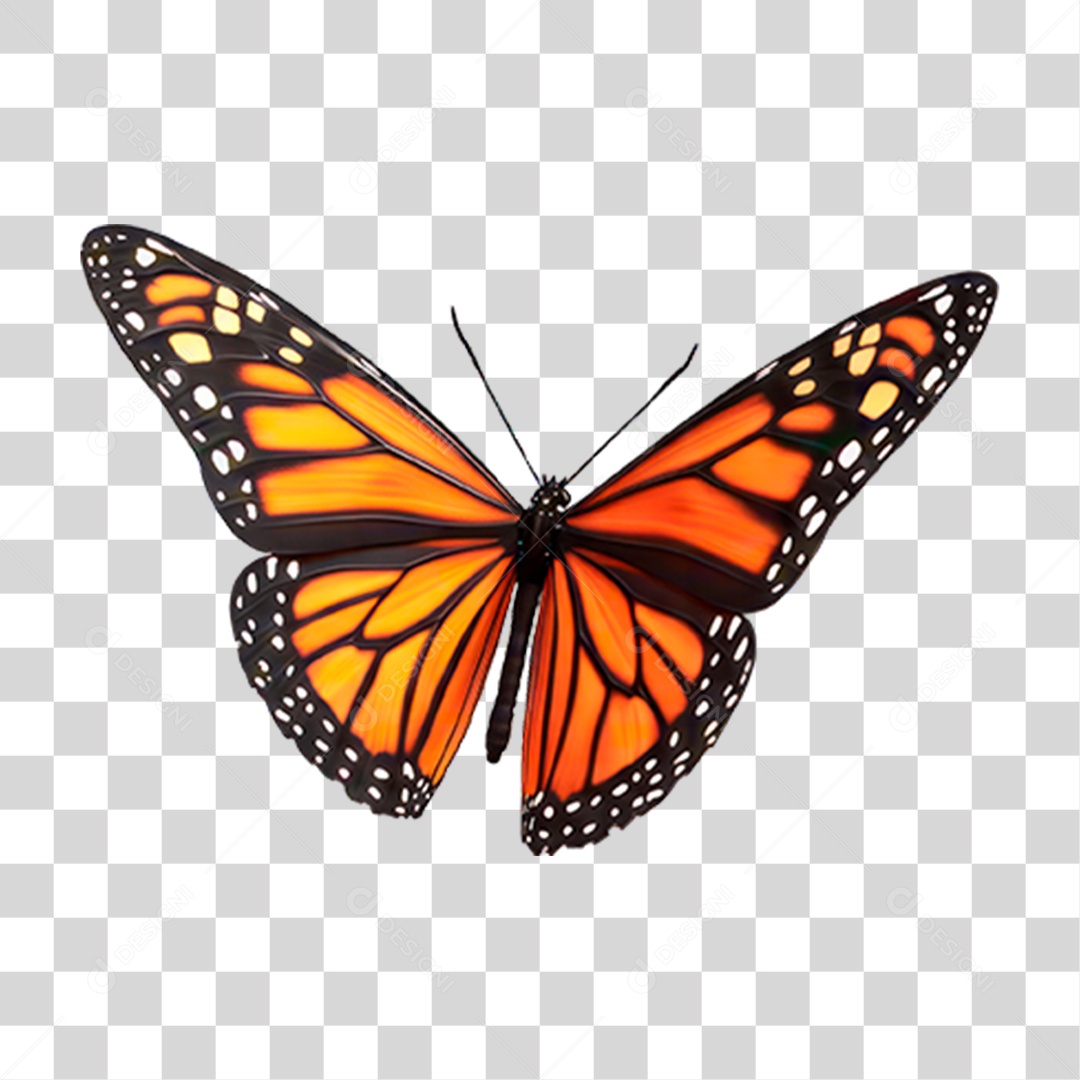 Borboleta PNG Transparente