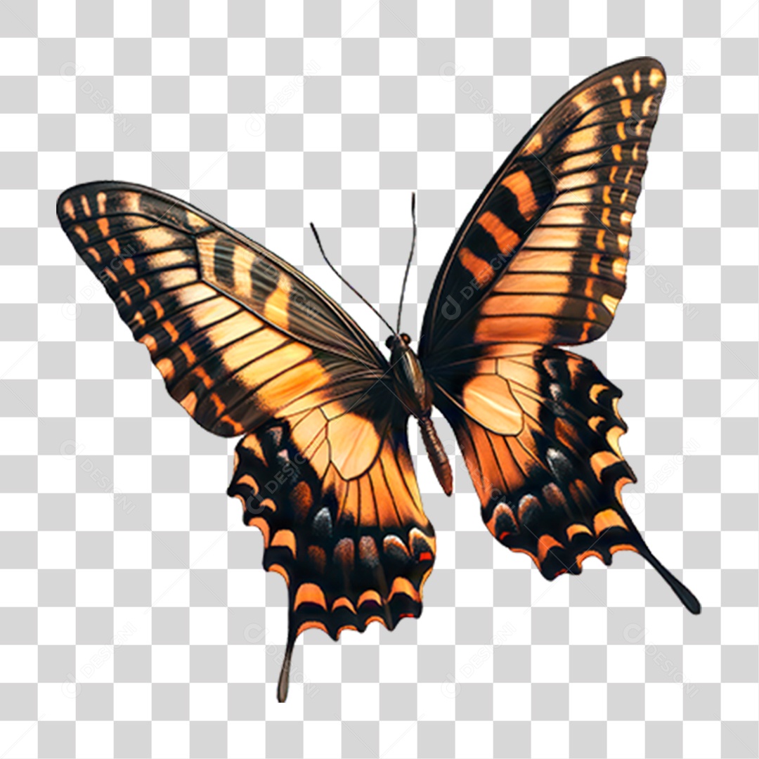 Borboleta PNG Transparente