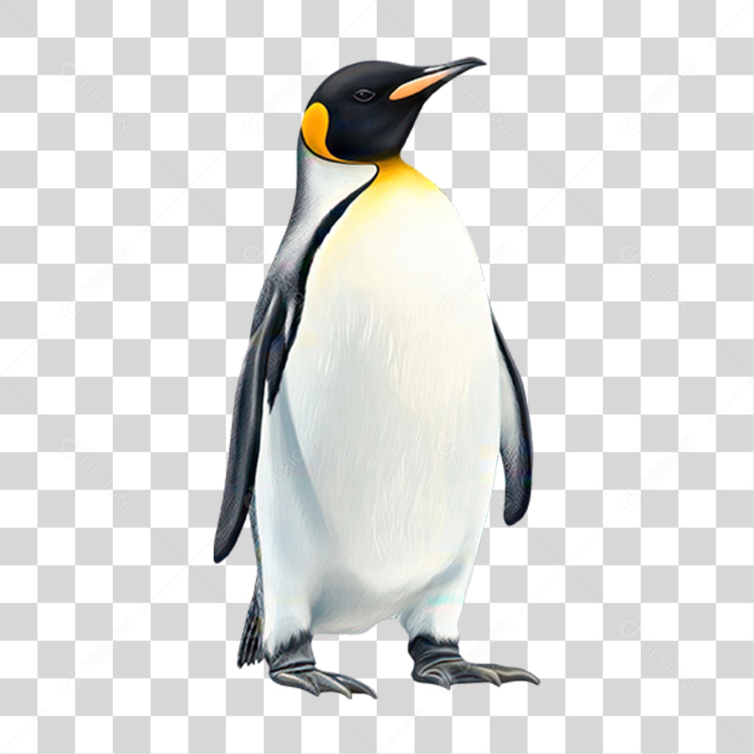 Pinguim PNG Transparente