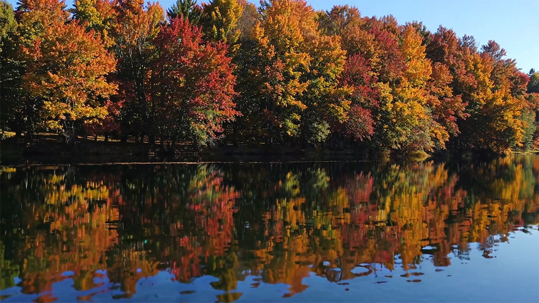 Um lago tranquilo cercado por árvores coloridas de outono refletidas na água MP4