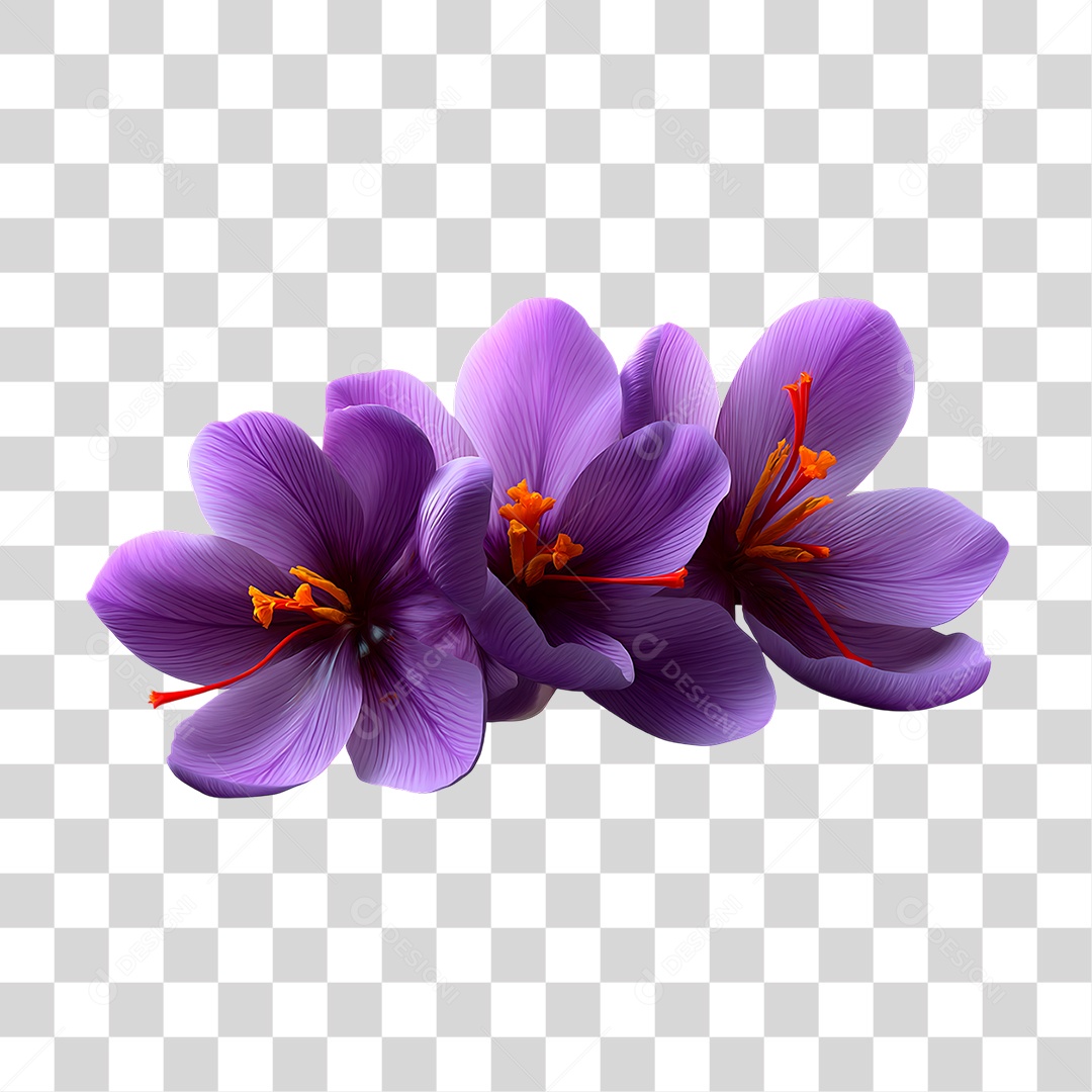 Flores de Açafrão PNG Transparente