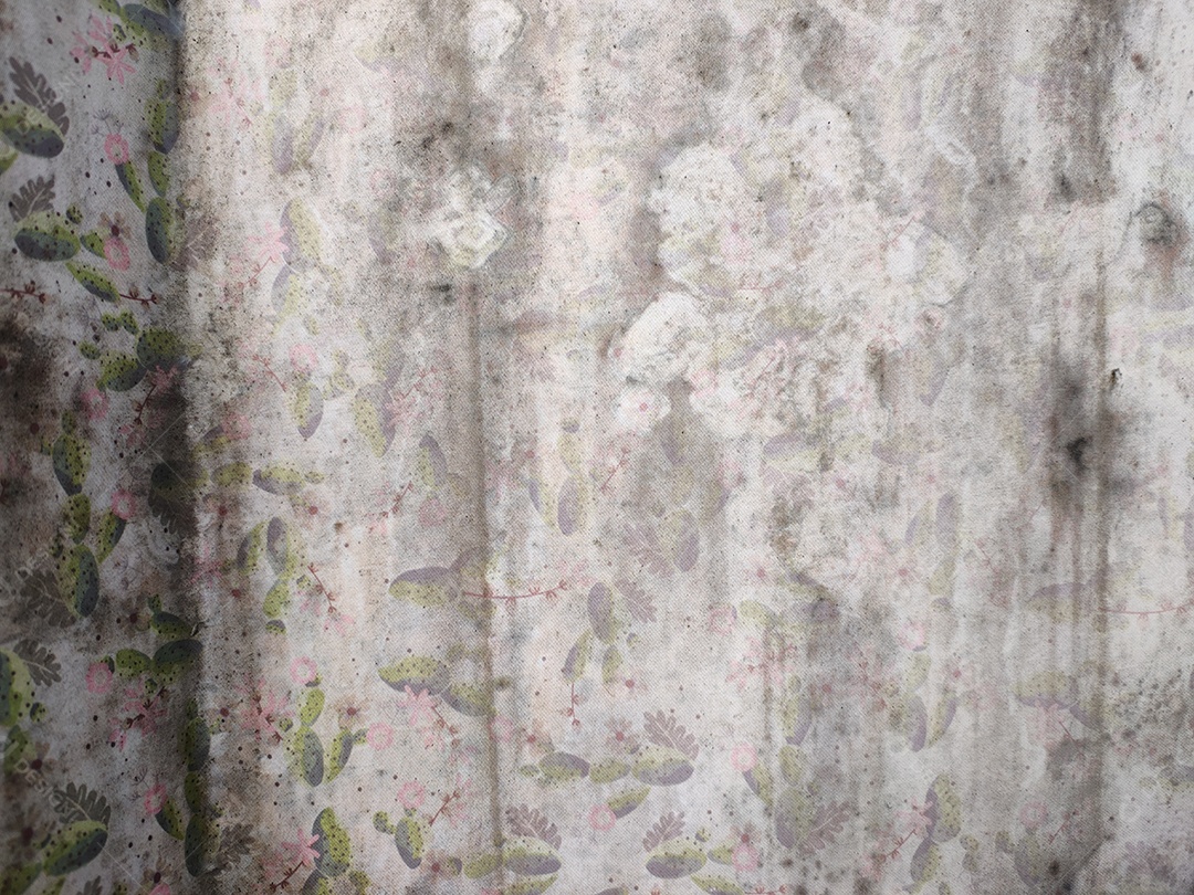 Manchas de mofo e bolor no papel de parede