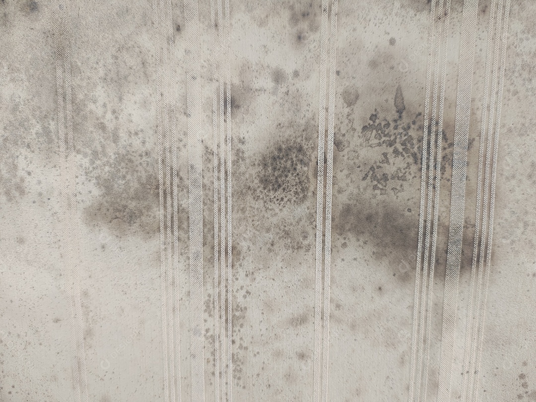 Mofo no papel de parede sob a janela