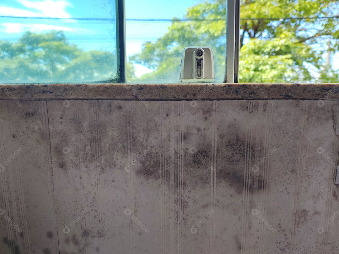 Mofo no papel de parede sob a janela