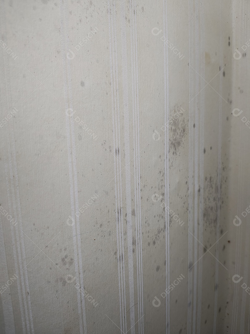 Manchas de mofo e umidade no canto da parede