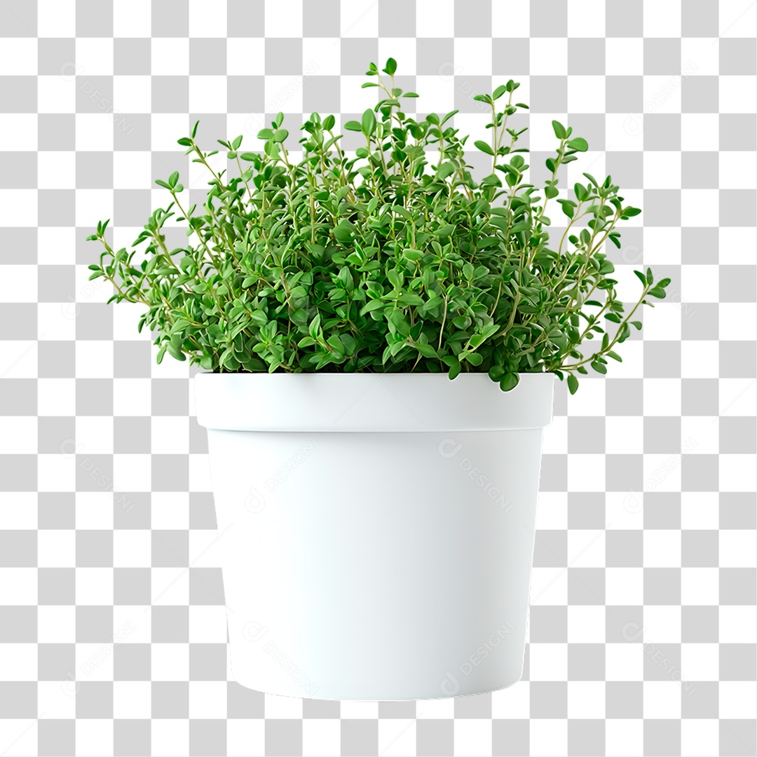 Vaso de Tomilho Limão PNG Transparente