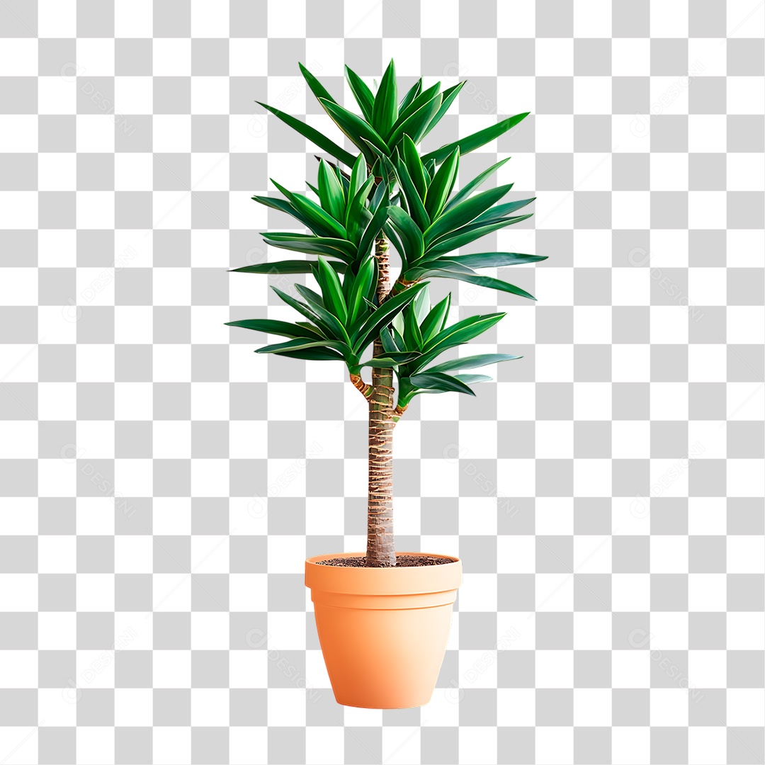 Luca Elefante PNG Transparente