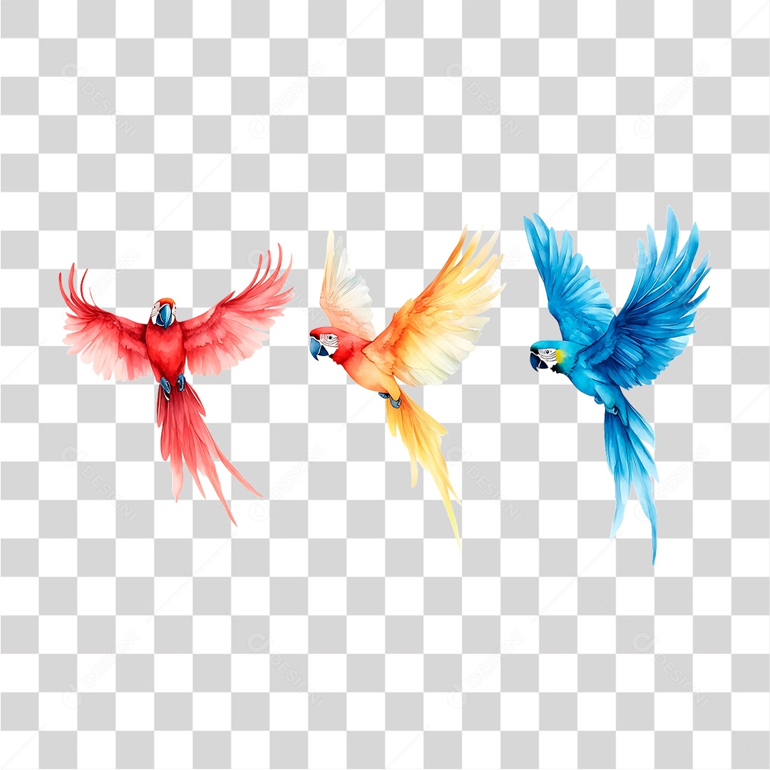 Araras PNG Transparente