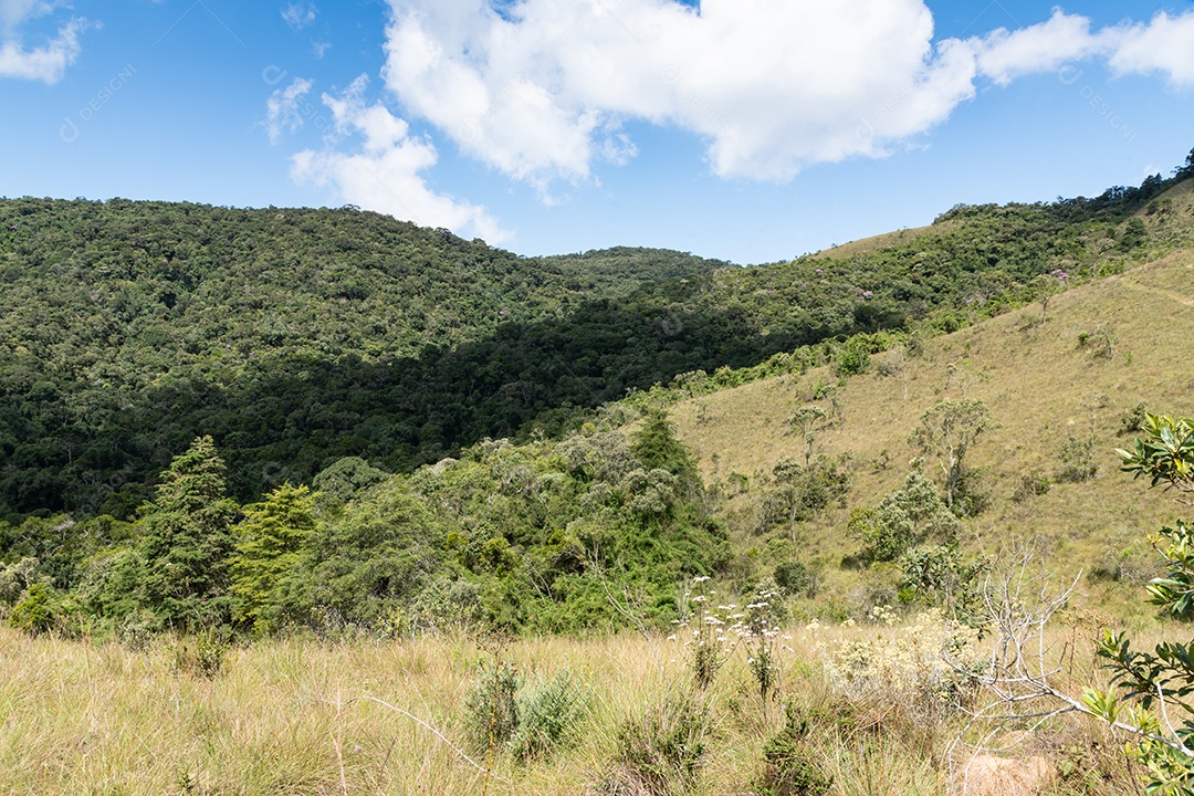 Imagem retrata uma paisagem natural com vegetação densa e áreas de campo