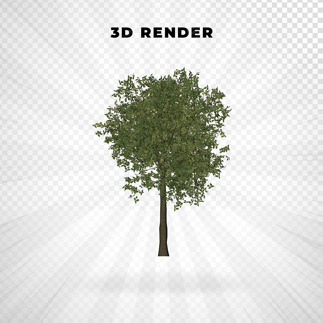 Árvore Elemento 3D Para Composição PSD