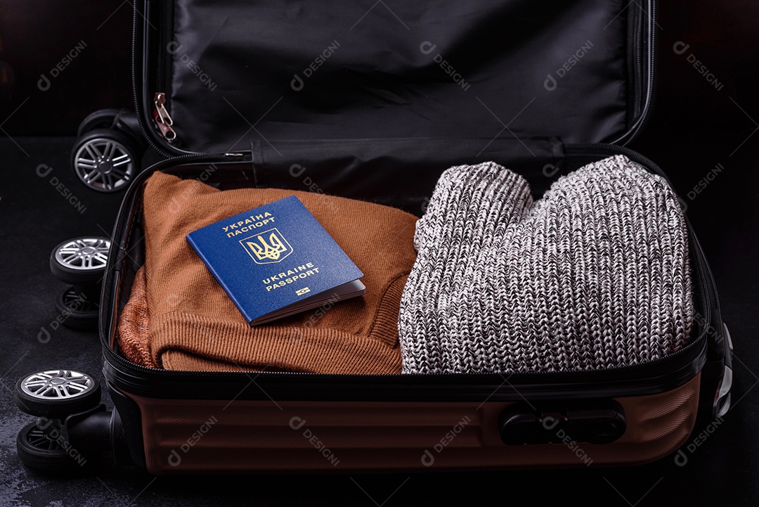 Passaporte internacional de um cidadão mala