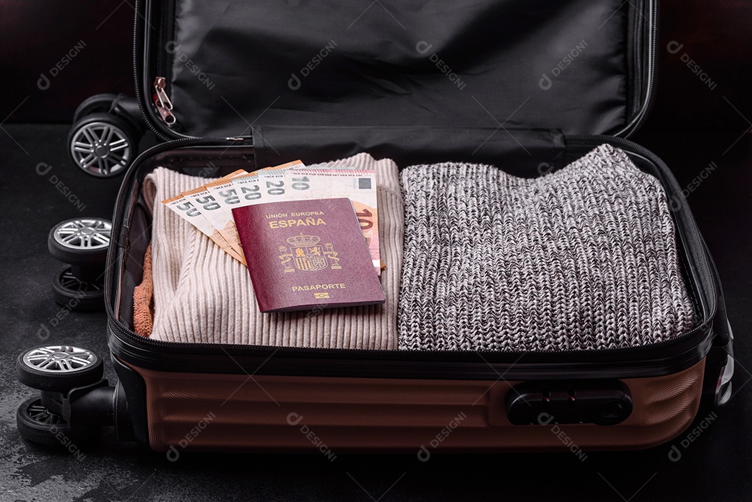 Passaporte internacional de um cidadão mala