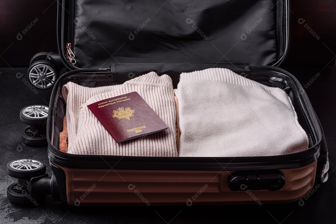 Passaporte internacional de um cidadão mala