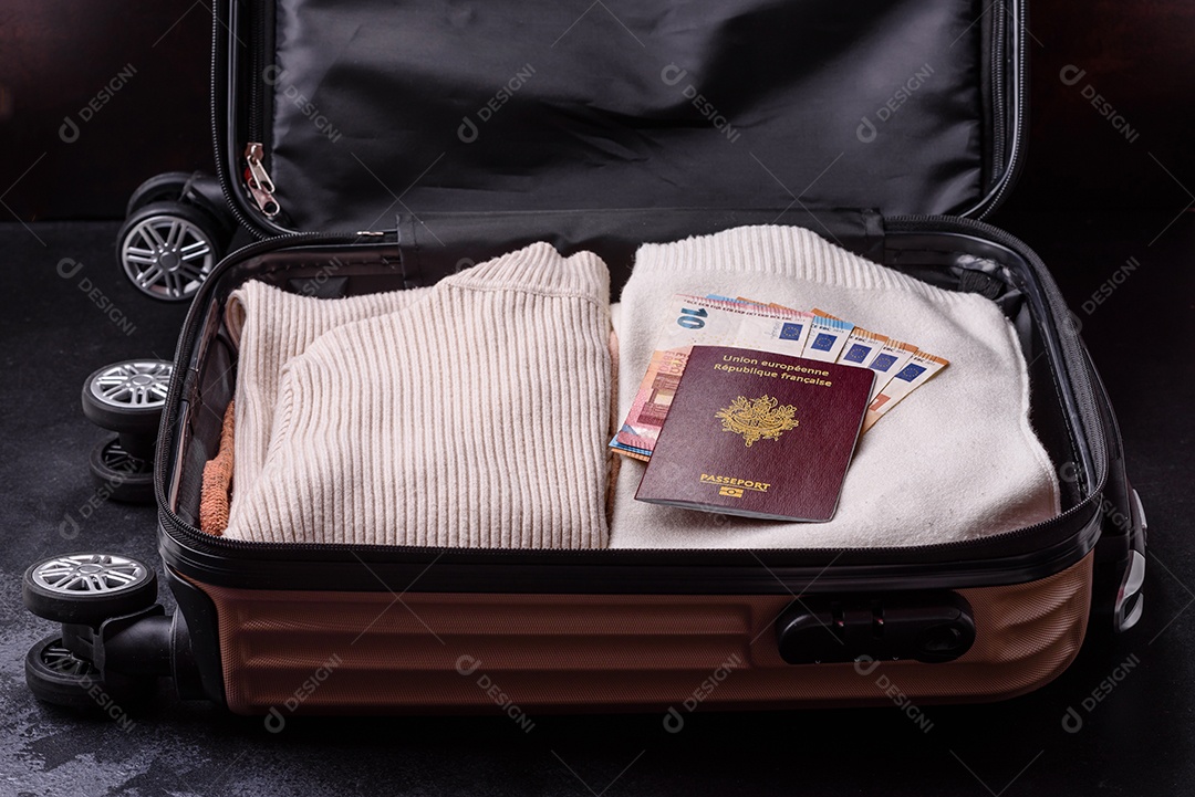 Passaporte internacional de um cidadão mala