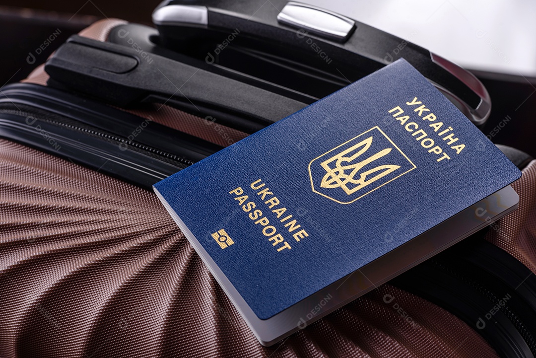 Passaporte internacional de um cidadão mala