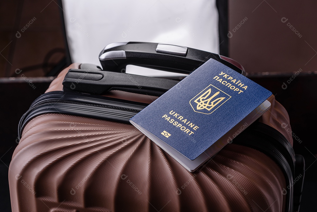 Passaporte internacional de um cidadão mala