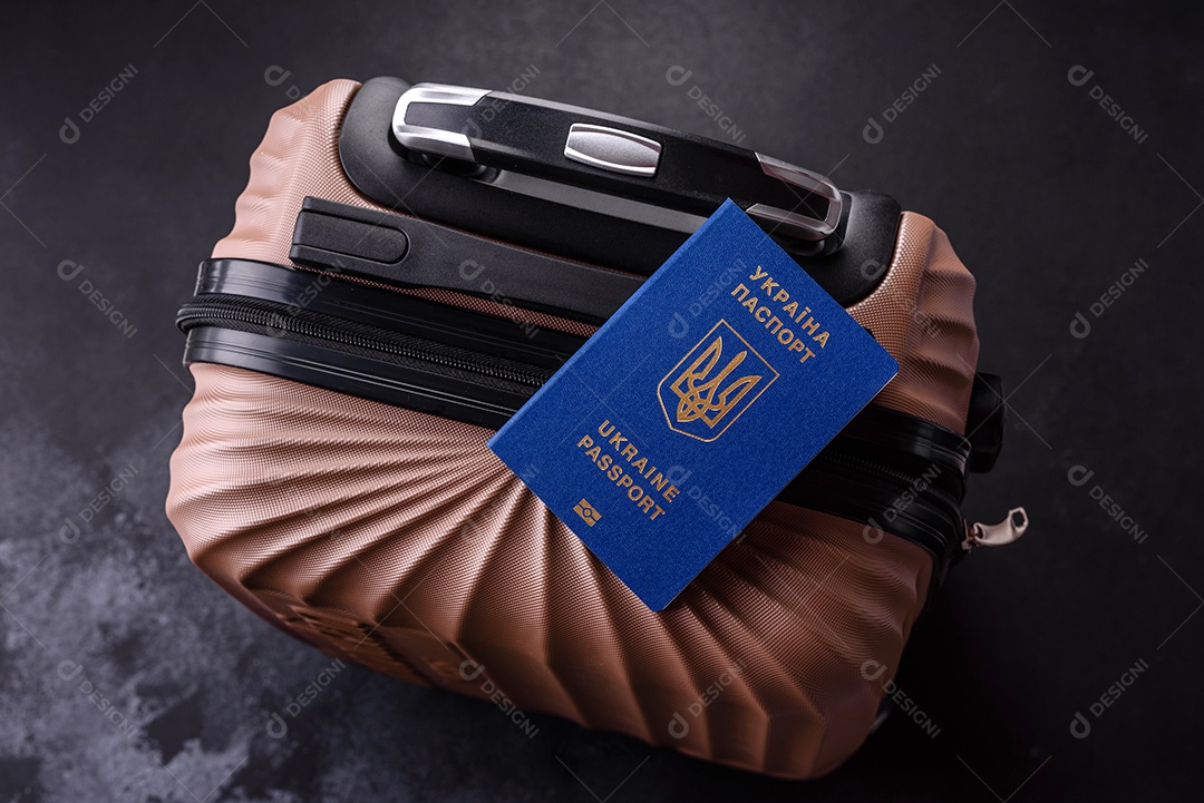 Passaporte internacional de um cidadão mala