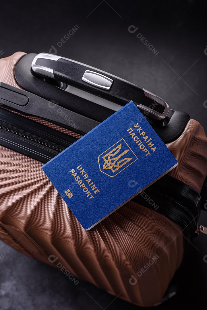 Passaporte internacional de um cidadão mala